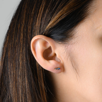 Aqua Ear Climber