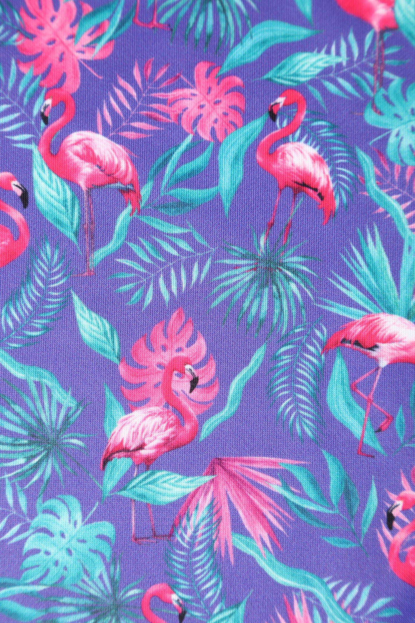 Melissa Pink Flamingo Strapless Dress in Purple
