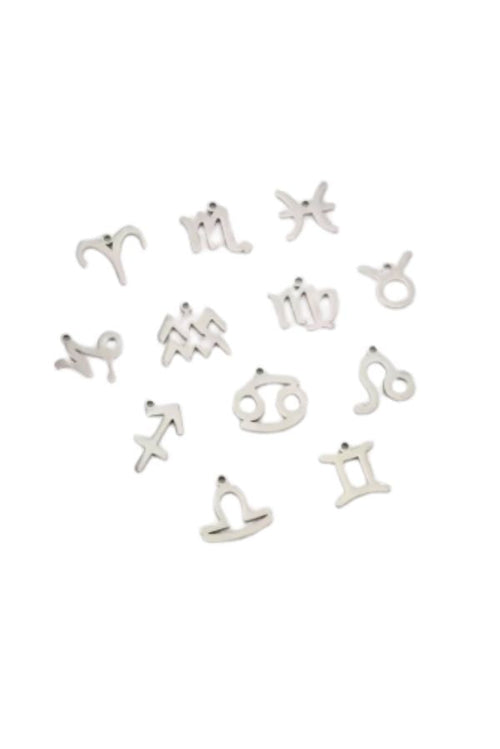 The Zodiac Charm in Silver