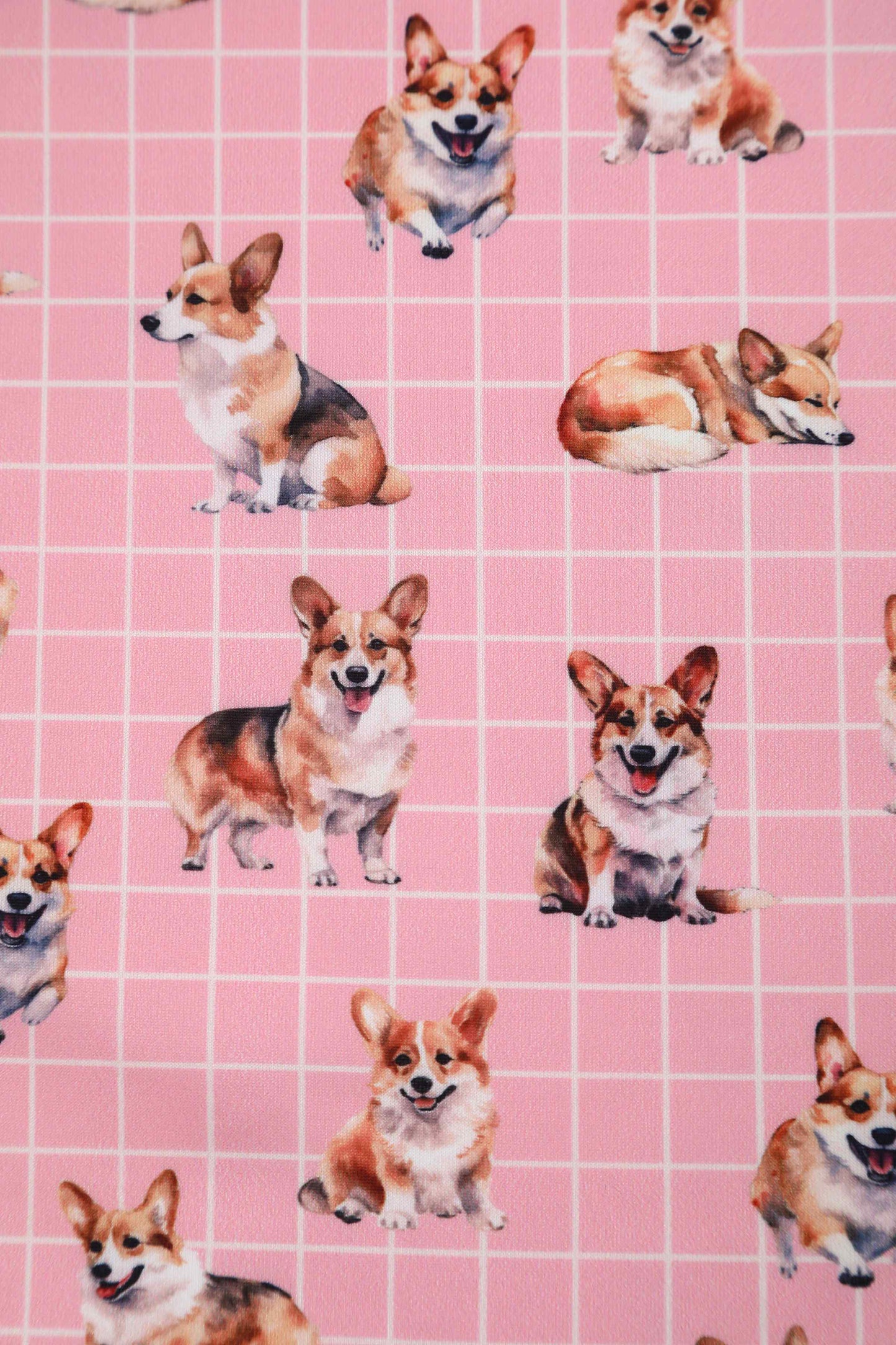Amanda Corgi Pink Swing Dress