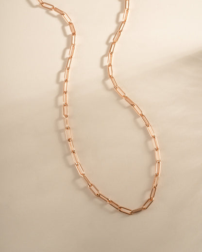 Paperclip Necklace