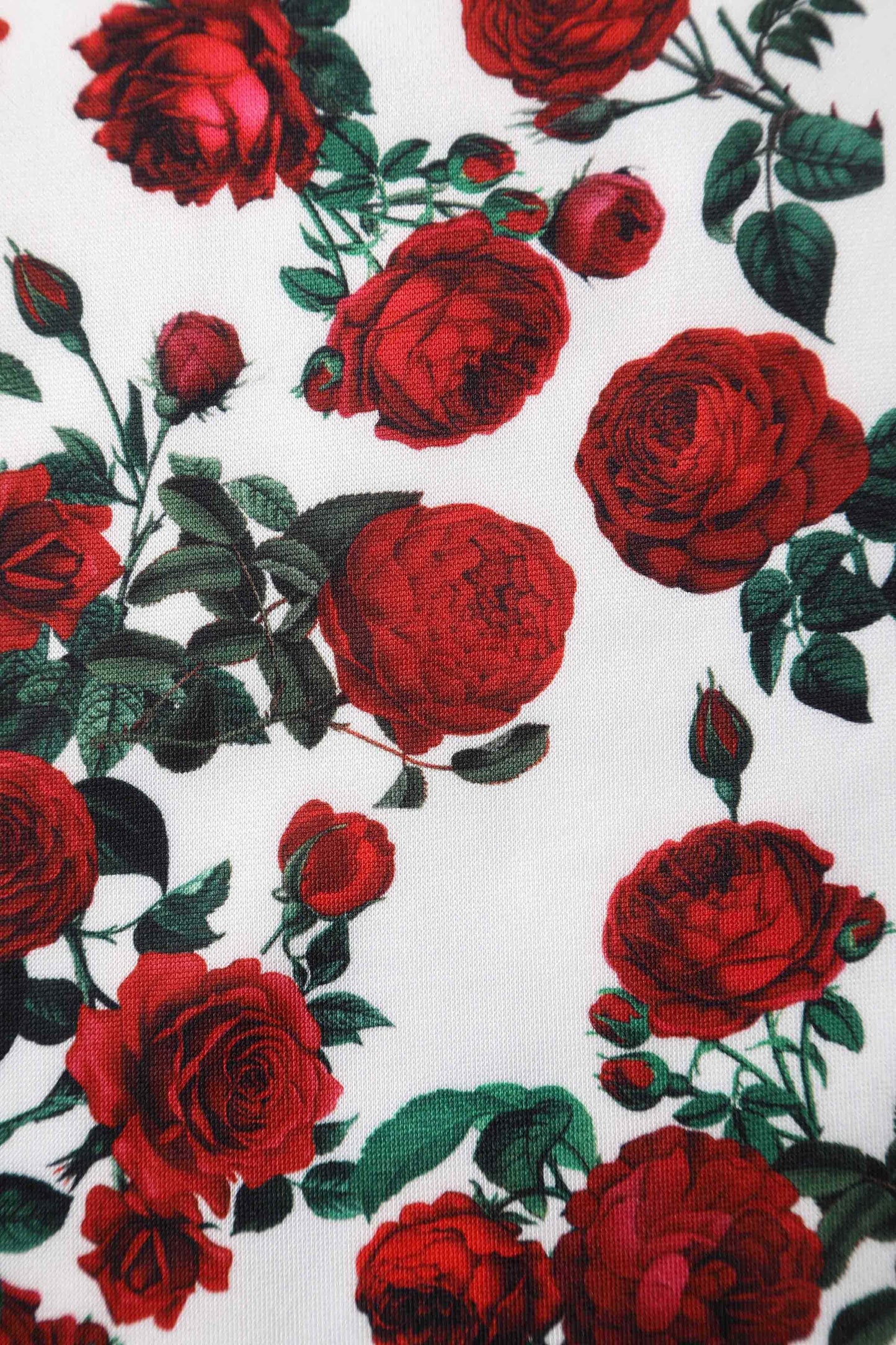 Amanda Retro Red Rose Dress In White