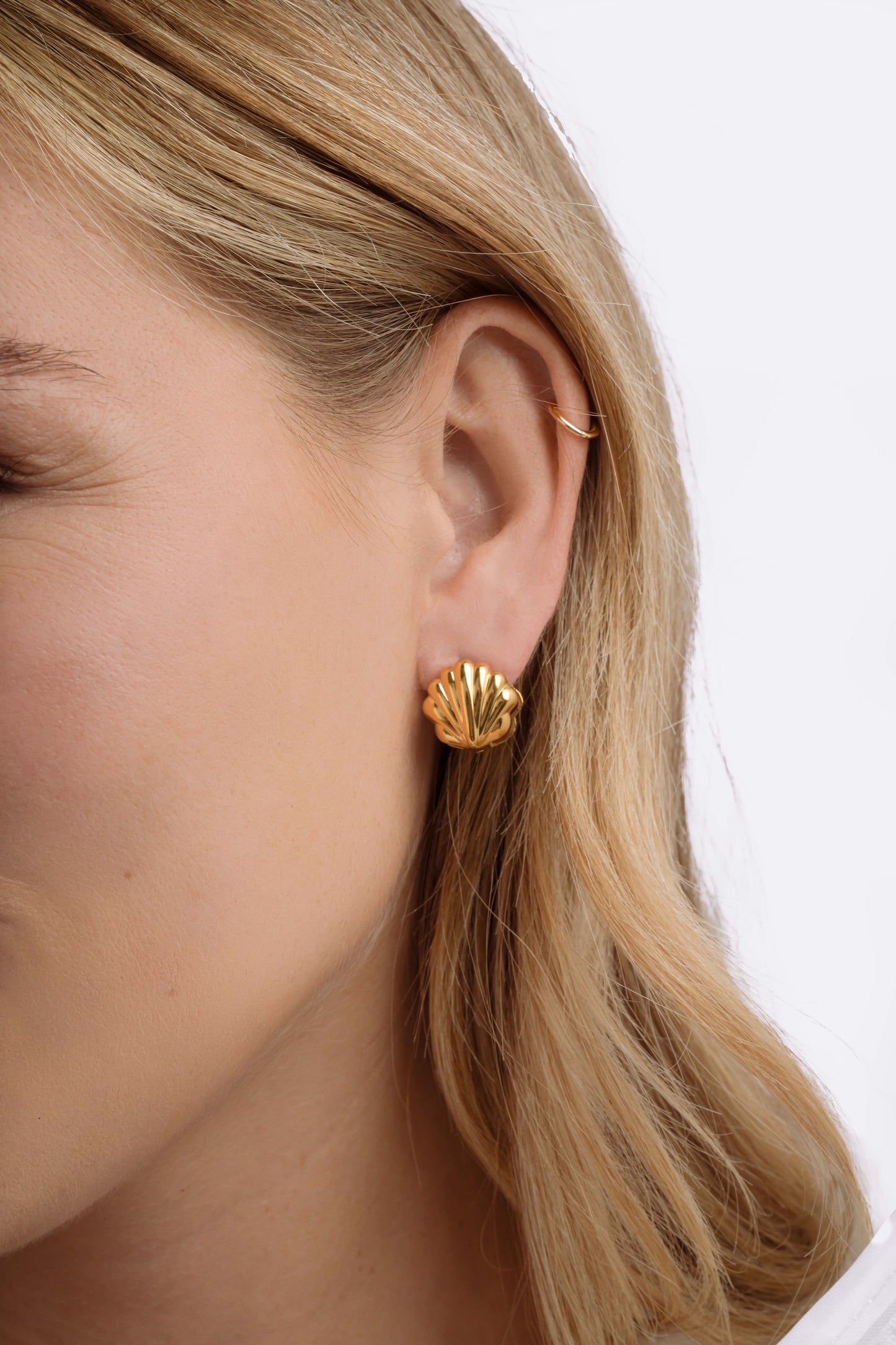 Seashell Earrings