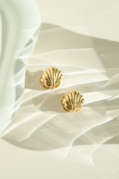 Seashell Earrings