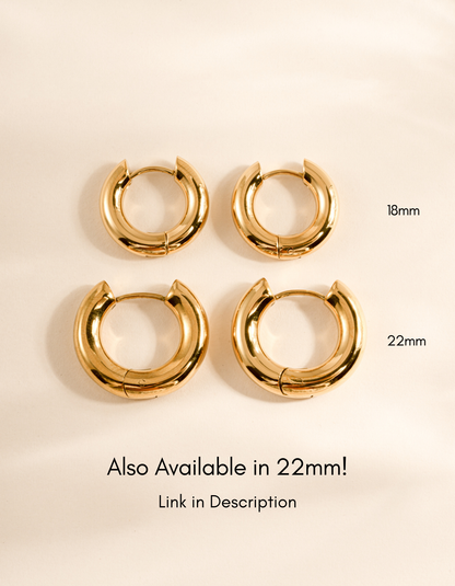 18mm Hazel Hoops