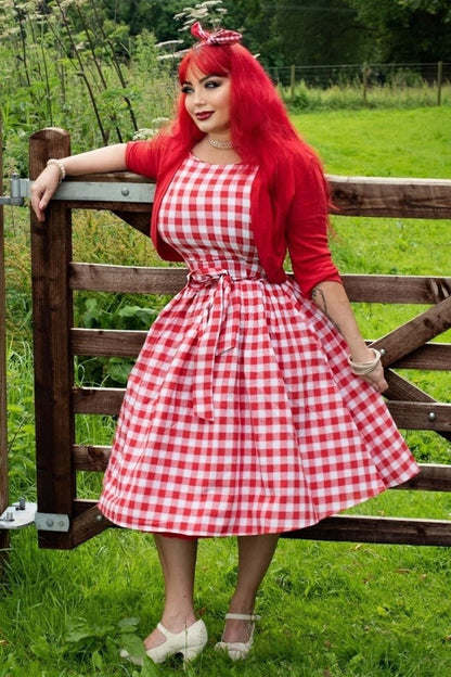 Annie Red Gingham Swing Dress